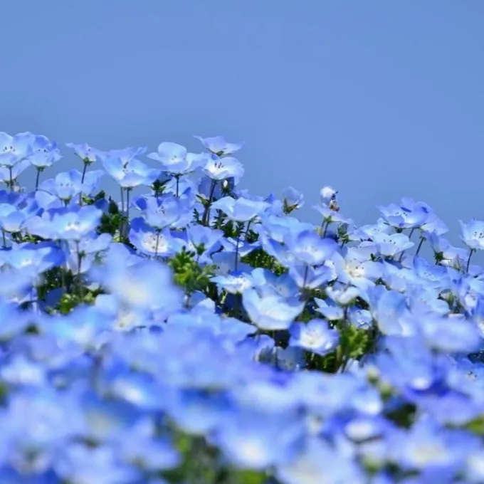 Photo d’Annie SCHABO